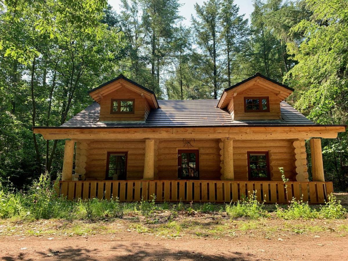 Vakantiehuis De 7 Geweien Emst Eksteriør billede